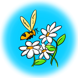 Little Bee